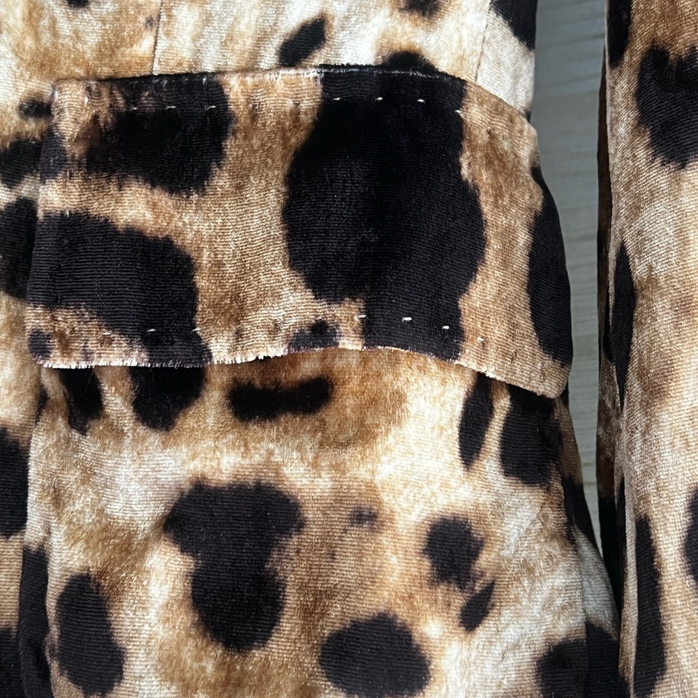 Dolce & Gabbana Leopard Velvet Blazer & Silk-Lined Skirt with Velvet Panel—2000s - Picture 5 of 16